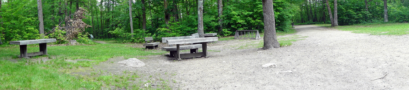 a bench calling Lee Duquette's name